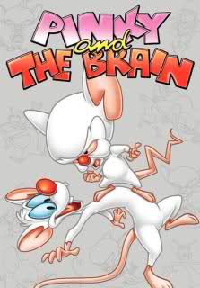 Pinky and the Brain poster