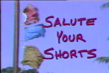 Salute Your Shorts poster
