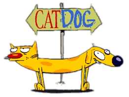 CatDog poster